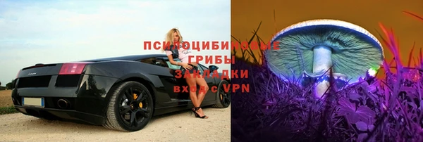 ешки Алзамай