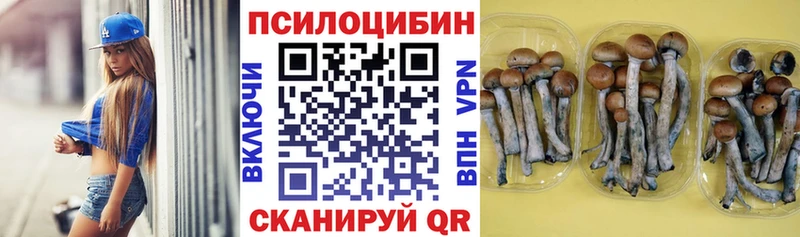 Псилоцибиновые грибы Psilocybine cubensis Сухиничи